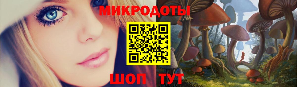 Псилоцибиновые грибы мицелий Петропавловск-Камчатский